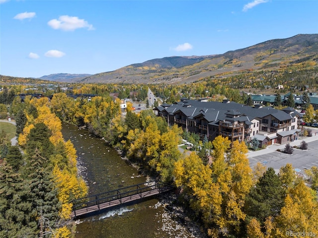 421 Rainbow Dr Unit 23, Silverthorne, CO 80498 - photo 40