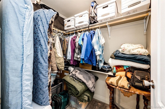 view of spacious closet