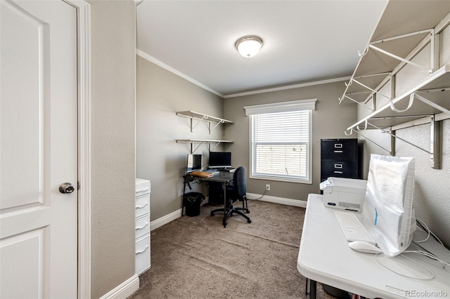 office space featuring crown molding and carpet flooring