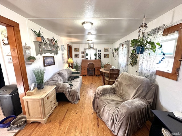 312 Main St, Genoa, CO 80818 - photo 16