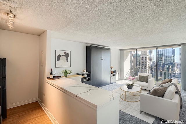 1020 15th St Unit 20F, Denver, CO 80202 - living area with a textured ceiling, a city view, baseboards, and light wood-style floors