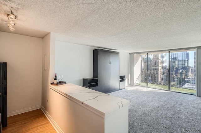 1020 15th St Unit 20F, Denver, CO 80202 - unfurnished living room featuring a textured ceiling, a view of city, baseboards, and light wood-style flooring