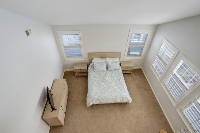 4542 Valleybrook Dr, Highlands Ranch, CO 80130 - bedroom with carpet and baseboards