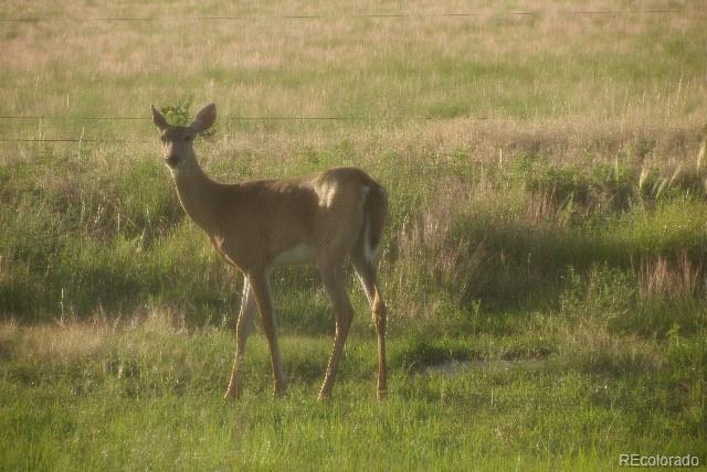 Wa County Road Ll, Flagler, CO 80815 - photo 9