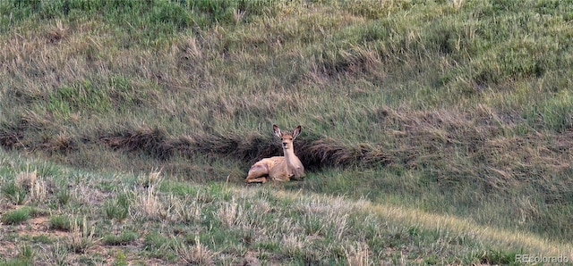 Wa County Road Ll, Flagler, CO 80815 - photo 17