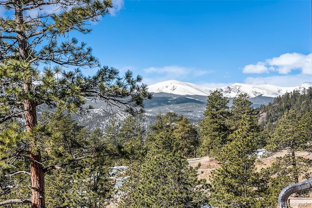 view of mountain feature