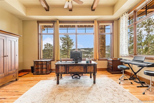 office area featuring ceiling fan, light hardwood / wood-style floors, and a healthy amount of sunlight