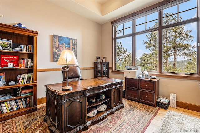 office featuring light hardwood / wood-style flooring