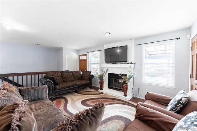 living room featuring hardwood / wood-style floors