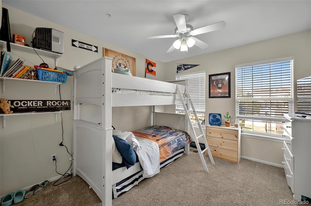 479 Black Feather Loop Unit 311, Castle Rock, CO 80104 - photo 17