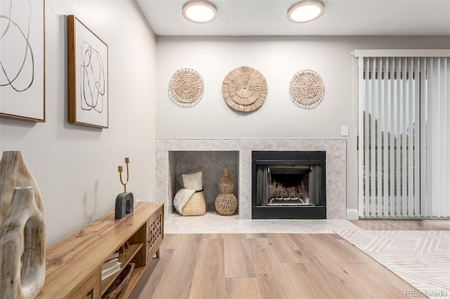 living room featuring wood finished floors and a fireplace