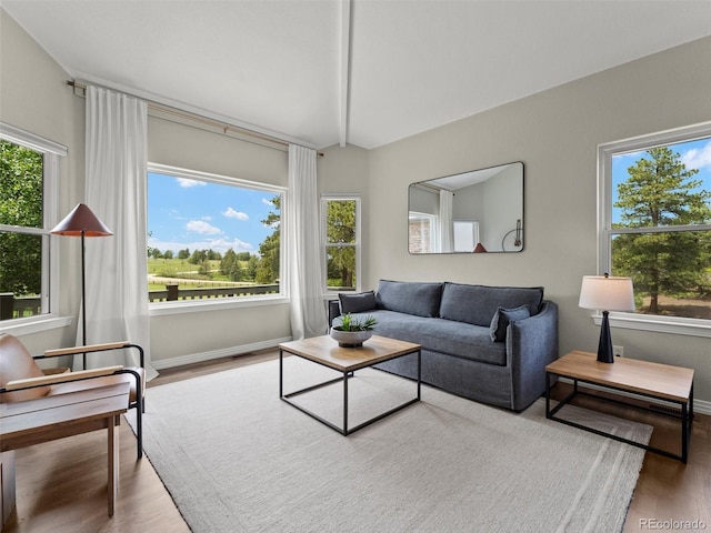 101 County Road 146, Elizabeth, CO 80107 - photo 5