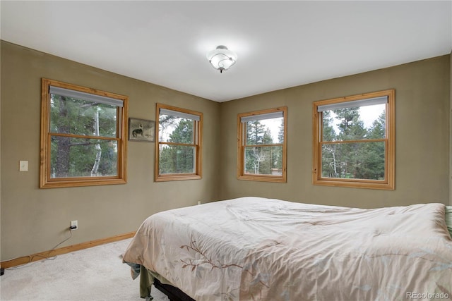 bedroom with carpet and baseboards