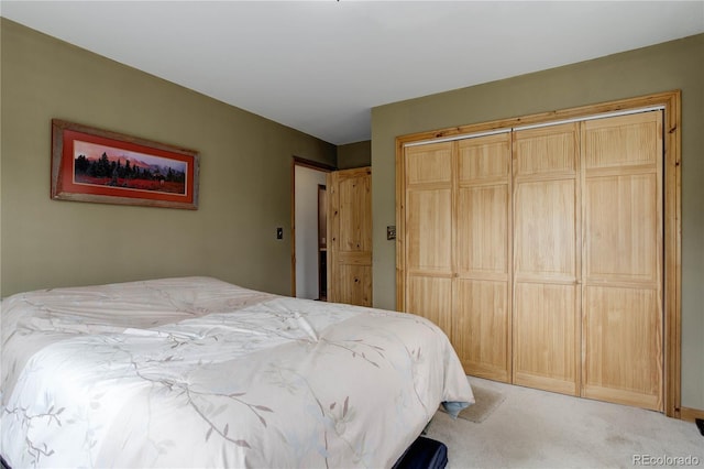 bedroom featuring carpet floors and a closet