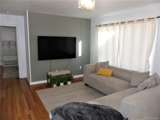 living room featuring wood-type flooring