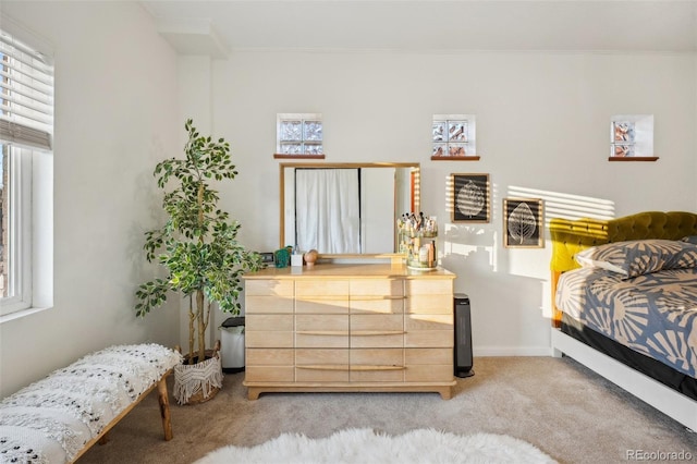 carpeted bedroom with crown molding