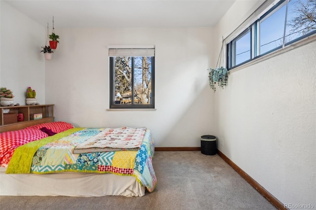 bedroom with carpet flooring