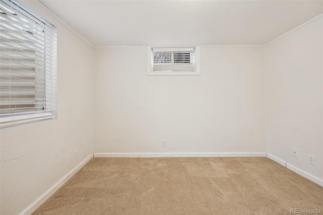 unfurnished room featuring ornamental molding and carpet