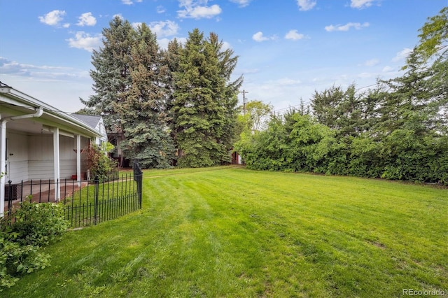 3201 S Albion St, Denver, CO 80222 - view of yard