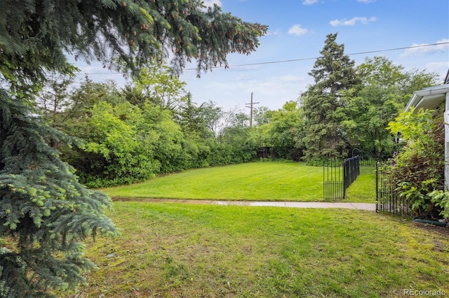3201 S Albion St, Denver, CO 80222 - view of yard