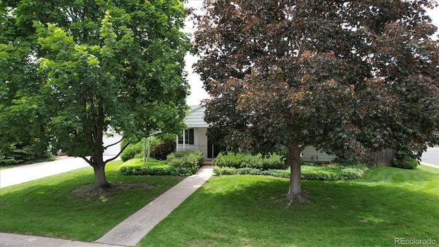 3201 S Albion St, Denver, CO 80222 - view of property hidden behind natural elements with a front yard