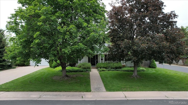 3201 S Albion St, Denver, CO 80222 - view of property hidden behind natural elements with a front lawn and driveway