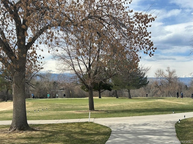 3201 S Albion St, Denver, CO 80222 - surrounding community with a yard