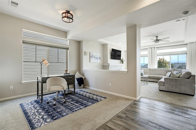 6880 Backcountry Loop, Colorado Springs, CO 80927 - office featuring baseboards, ceiling fan, wood finished floors, and carpet flooring