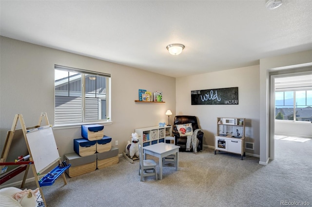 6880 Backcountry Loop, Colorado Springs, CO 80927 - rec room featuring carpet floors and baseboards