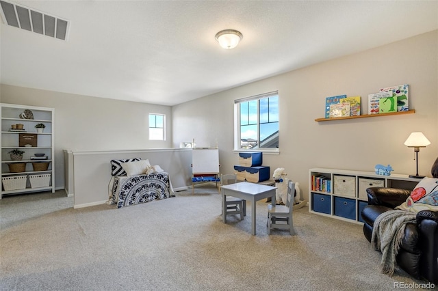 6880 Backcountry Loop, Colorado Springs, CO 80927 - office with carpet flooring and baseboards