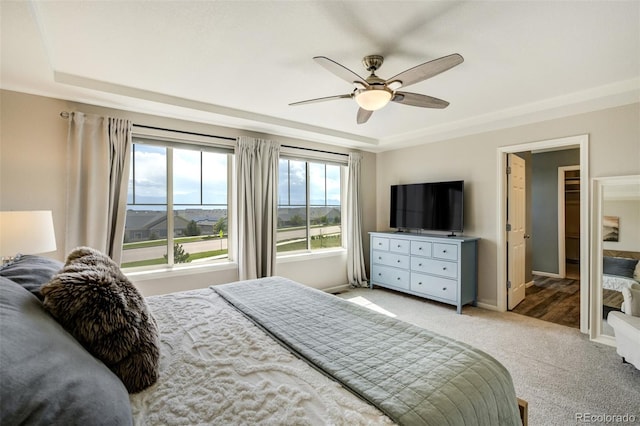 6880 Backcountry Loop, Colorado Springs, CO 80927 - bedroom with light colored carpet, a tray ceiling, baseboards, and a ceiling fan
