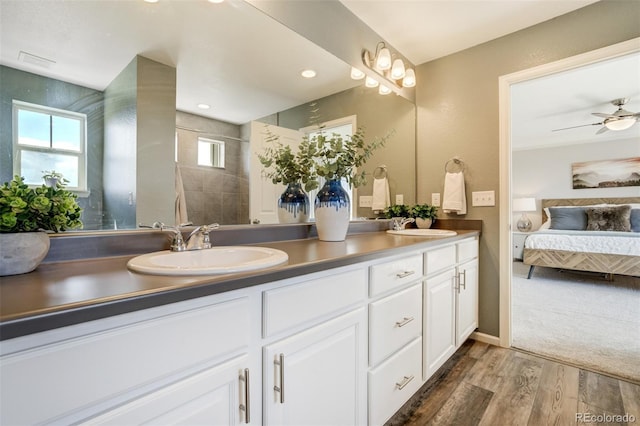 6880 Backcountry Loop, Colorado Springs, CO 80927 - bathroom featuring connected bathroom, double vanity, wood finished floors, and healthy amount of natural light
