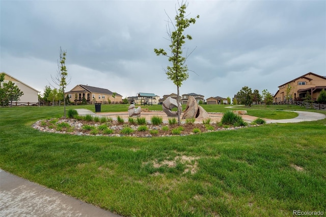 6880 Backcountry Loop, Colorado Springs, CO 80927 - view of green lawn