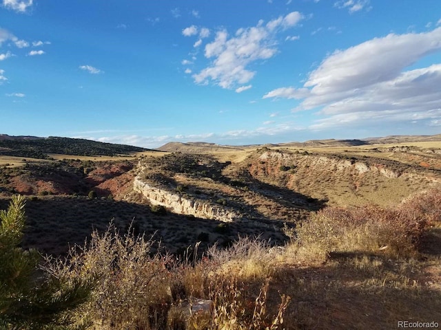 13500 Owl Canyon Trl, Laporte, CO 80535 - photo 10