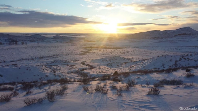 13500 Owl Canyon Trl, Laporte, CO 80535 - photo 25