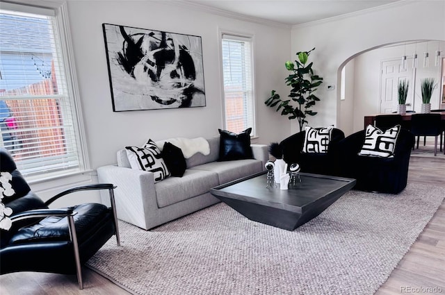 living area featuring arched walkways, wood finished floors, and ornamental molding