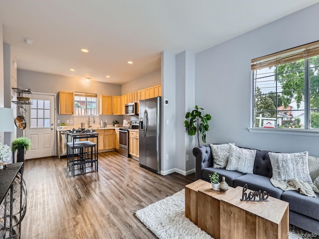 6065 Wadsworth Blvd Unit A, Arvada, CO 80003 - living room featuring wood finished floors, recessed lighting, and baseboards