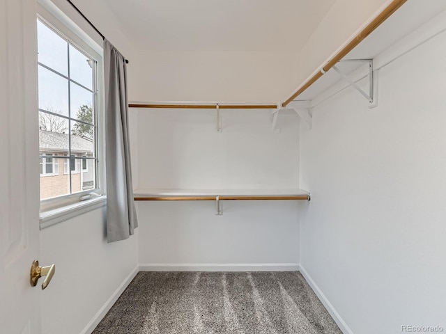 6065 Wadsworth Blvd Unit A, Arvada, CO 80003 - walk in closet featuring carpet flooring