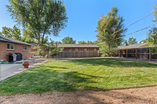 view of yard with a patio area