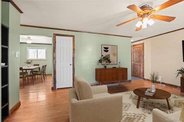 living room featuring ceiling fan, light wood-type flooring, and crown molding