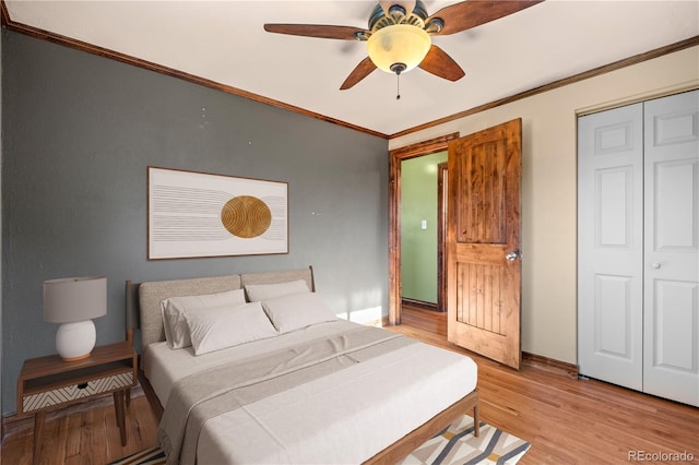 bedroom with a closet, light hardwood / wood-style flooring, ceiling fan, and crown molding