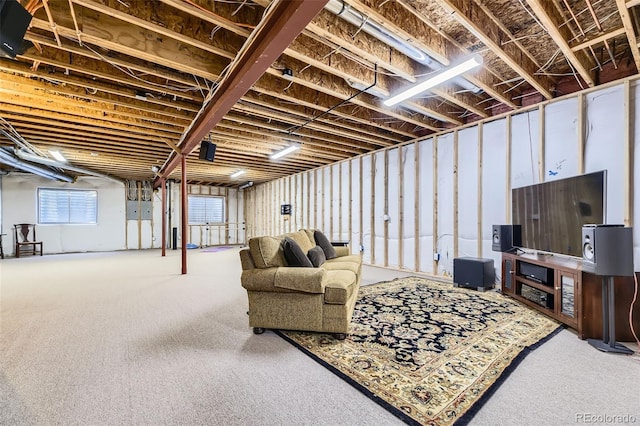 basement featuring carpet