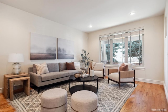 living room with light hardwood / wood-style flooring