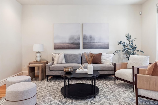 living room with hardwood / wood-style flooring