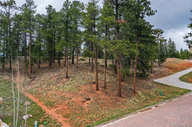270 Thunder Ridge Dr, Woodland Park, CO 80863