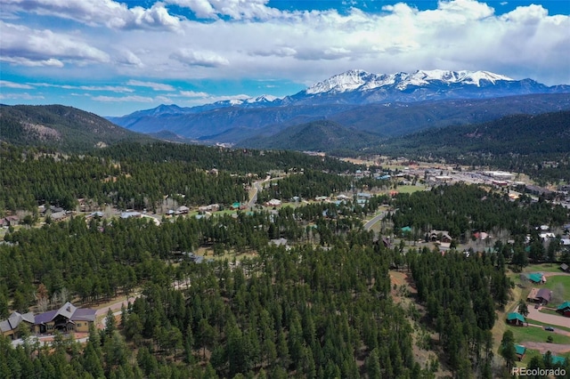 270 Thunder Ridge Dr, Woodland Park, CO 80863