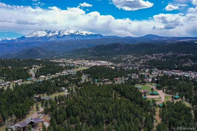 270 Thunder Ridge Dr, Woodland Park, CO 80863