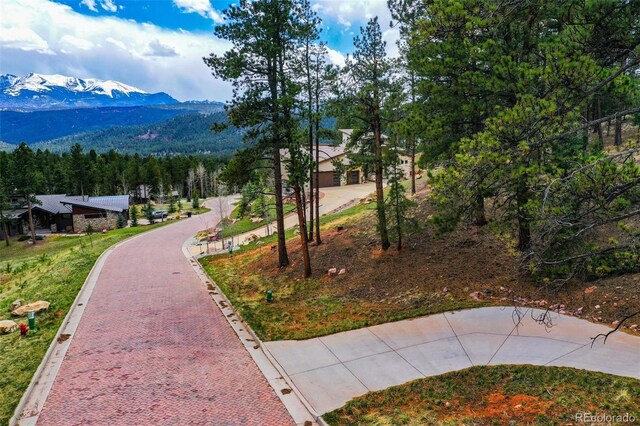 270 Thunder Ridge Dr, Woodland Park, CO 80863