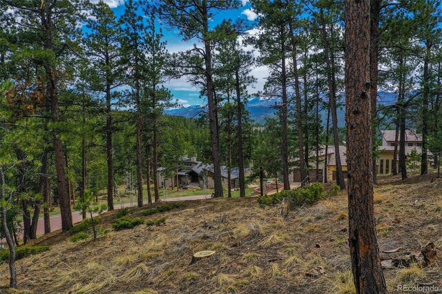 270 Thunder Ridge Dr, Woodland Park, CO 80863