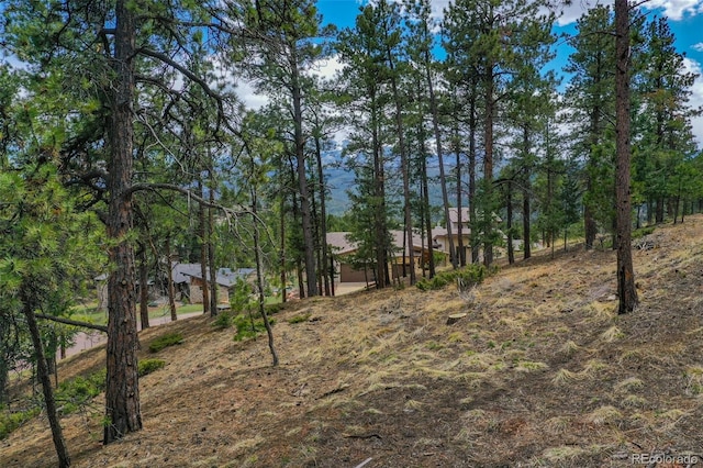 270 Thunder Ridge Dr, Woodland Park, CO 80863